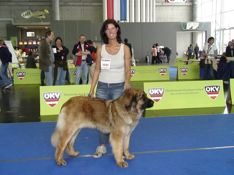 Salzburg Clubschau Mai 06 030 